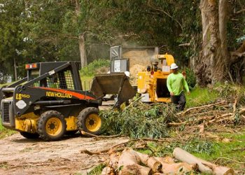 Experienced and Competent Premium Tree Removers & Stump Grinding