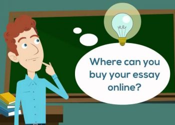 Basic Guide to Buy an Essay Online