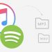 Best and Easy Spotify Converter – DRmare Spotify Music Converter Review