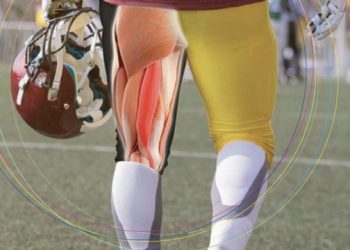 Management of Hamstring Injuries- Physio therapist Leichhardt