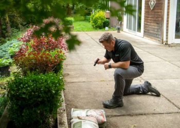 Facts You Should Know about WDO Inspections