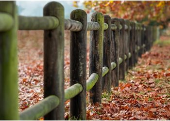 Metal vs Wood Fence Posts: Which Is Better for Your Home?