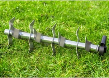 When to Aerate a Lawn: What You Need to Know