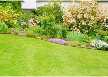 The Most Impressive Benefits of Spending Time in Your Garden