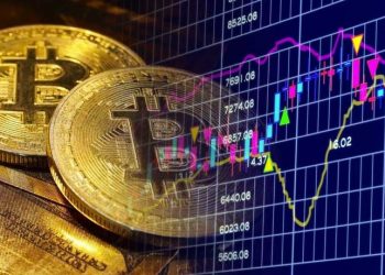 Role of Bitcoin Brokers and Investors in Bitcoin Trading