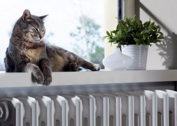 Improving How You Use Radiators