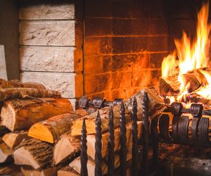 Quick Ways To Get The Firewood While Staying Within Budget