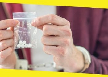 What to Do If You Are Charged with a Drug Offense in Sydney?