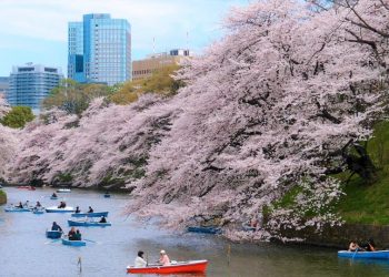 Visiting Colourful Japan During Spring