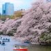 Visiting Colourful Japan During Spring