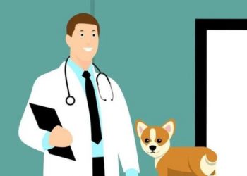  Advance Your Career With a Vet Education Training Course
