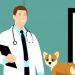 Advance Your Career With a Vet Education Training Course