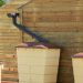 Conserve Water by Learning How to Install a Rain Barrel