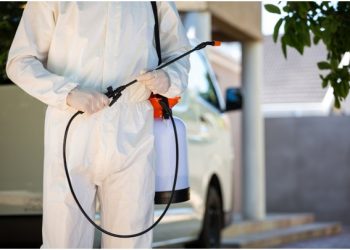 5 Reasons to Hire a Professional Fairfax Pest Control Company