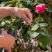 5 Maintenance Tips For Your Home And Garden