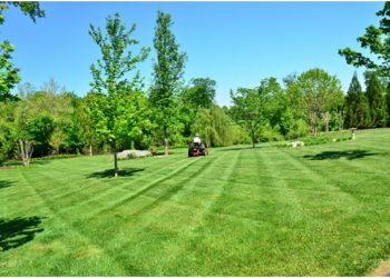 6 Signs It’s Time to Hire a Lawn Mowing Service