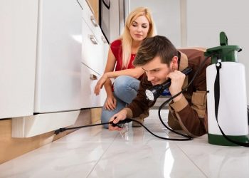 How to make your house pest free and away from unwanted visitors