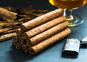 Different Types Of Cigars