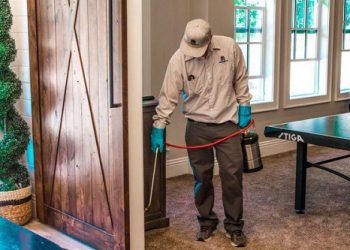 How Often should you Seek Pest Treatment in your Home