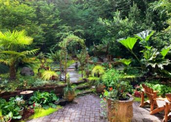 How to Liven Up Your Home—Inside and Out