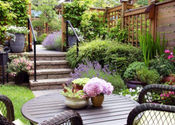 Beautify Your Home Garden – 4 Best Ideas