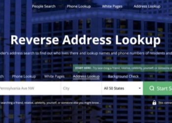 Top 7 Address Lookup Services For Beginners