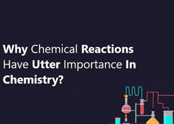 WHY CHEMICAL REACTIONS HAVE UTTER IMPORTANCE IN CHEMISTRY