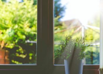 Why It’s So Important to Protect Your Windows
