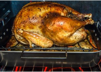 Bake Your Way Through the Kitchen: Guide to Baking Ovens