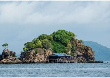 HOW ANDAMAN ISLANDS ARE LOSING GREEN PROTECTION AGAINST BUSINESS AND TOURISM