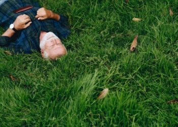 3 Surprising Benefits of Having a Green Lawn 