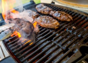 5 Best Meat Grills in Australia that Deserves a Try