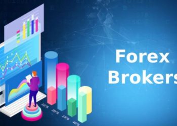 What to Look For in the Best Forex Brokers