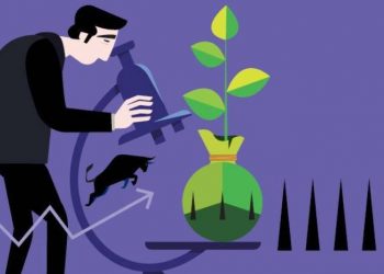 Things to Know About Investment Funds