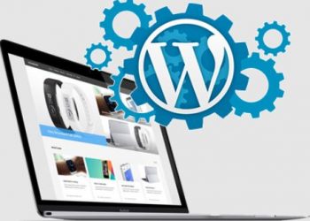 How Do I Get WordPress Hosting In Pakistan
