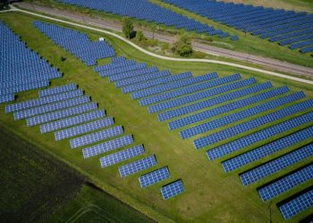 Green Development LLC’s Responsible Solar Development: The Cultivation of Pollinator Meadows