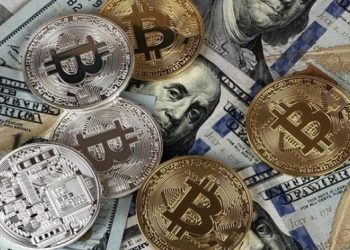 Fiat money vs cryptocurrencies: Key differences explained