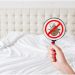 This Is How to Get Rid of Bed Bugs in Your Home