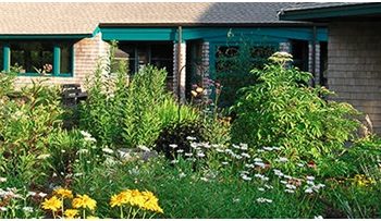 Plant a Native Pollinator Garden