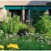 Plant a Native Pollinator Garden