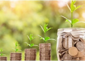 What Type Of Advice That You Can Get If You Choose The Property Press?