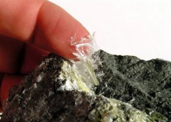 How Many Different Types of Training Are There for Asbestos