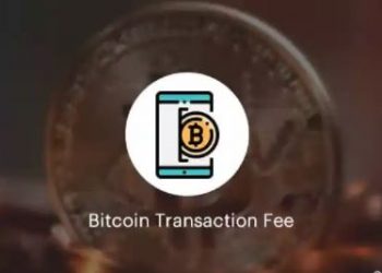 What You Should Know About the Transaction Fees of Bitcoin