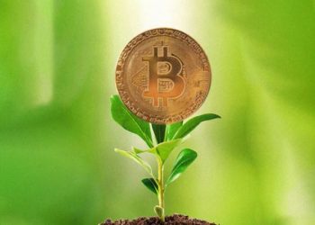 Useful Tips to Know Before Investing in Bitcoin in 2021