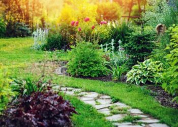 How to Design a Backyard You’ll Love: A Simple Guide