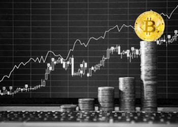 Why Is Bitcoin Hitting the Popularity Top?