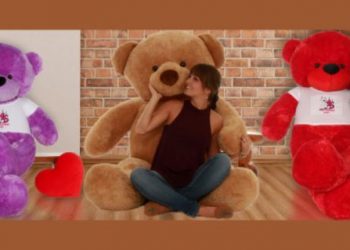 Teddy Bear Fun Facts You Might Not be Aware of