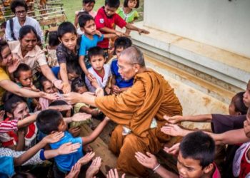 8 Reasons to Donate to Vegan Charities