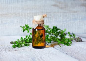 10 Natural Repellents For Mosquitoes