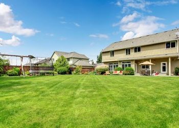 4 mistakes made by homeowners when preparing soil for new turf  or seed